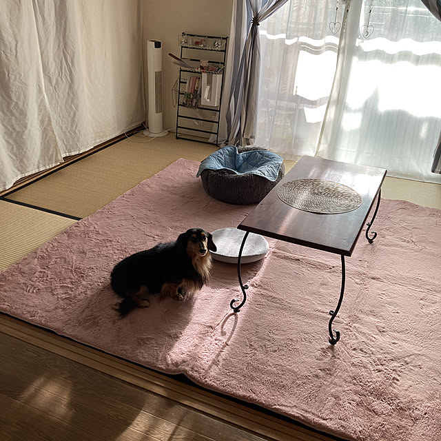 Chikuwaさんの実例写真