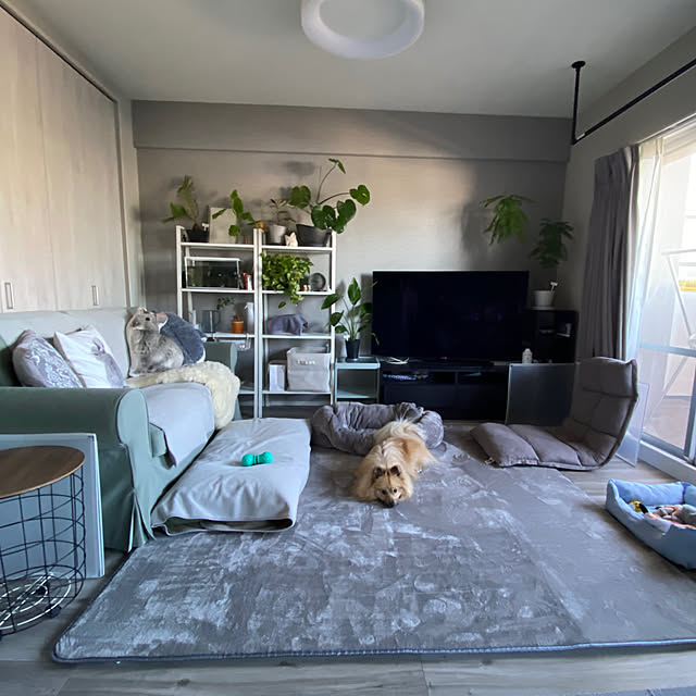 coccoさんの実例写真