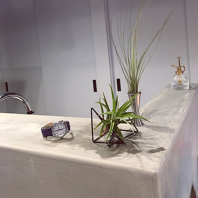 Noboさんの実例写真
