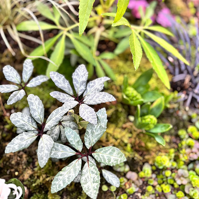 kyoko1124koさんの部屋