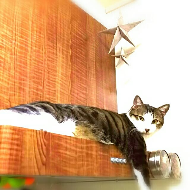 millsukeさんの実例写真