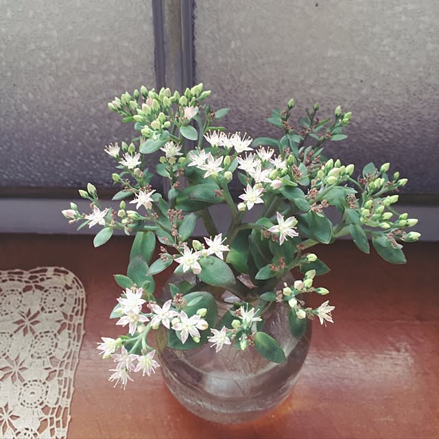 rinkoさんの実例写真
