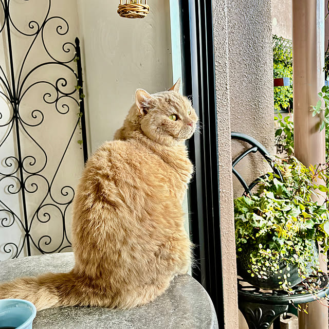 naokoさんの部屋