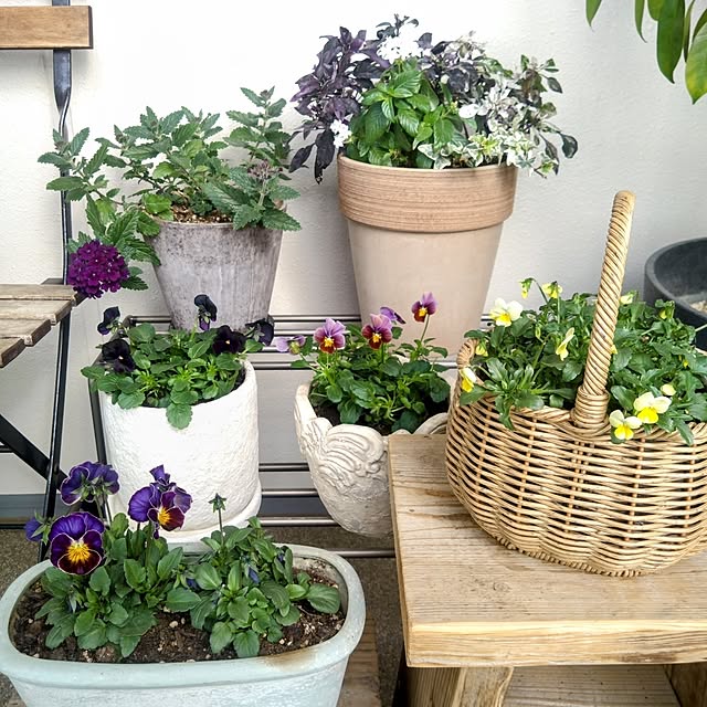 kerochanさんの部屋