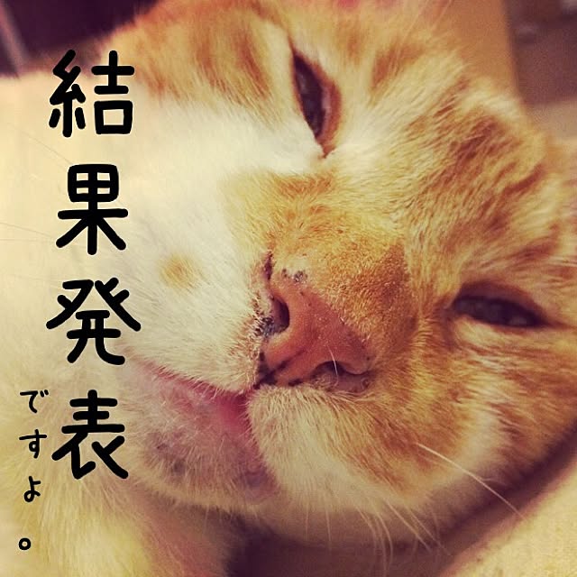 katsuwobushiさんの実例写真