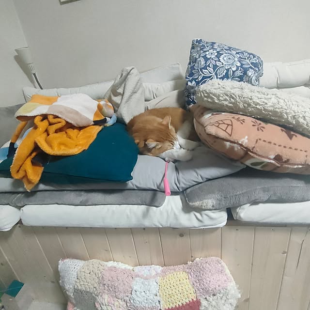 mori_6_12さんの部屋