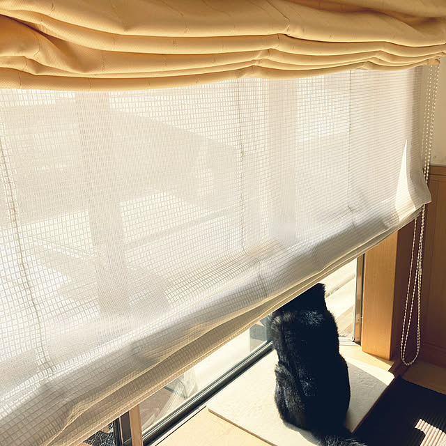 acocoroさんの実例写真