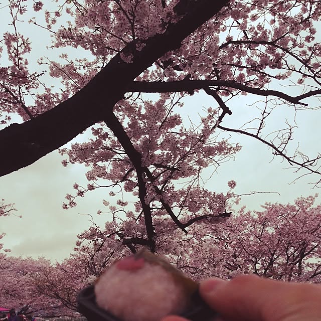 chi-chanさんの実例写真