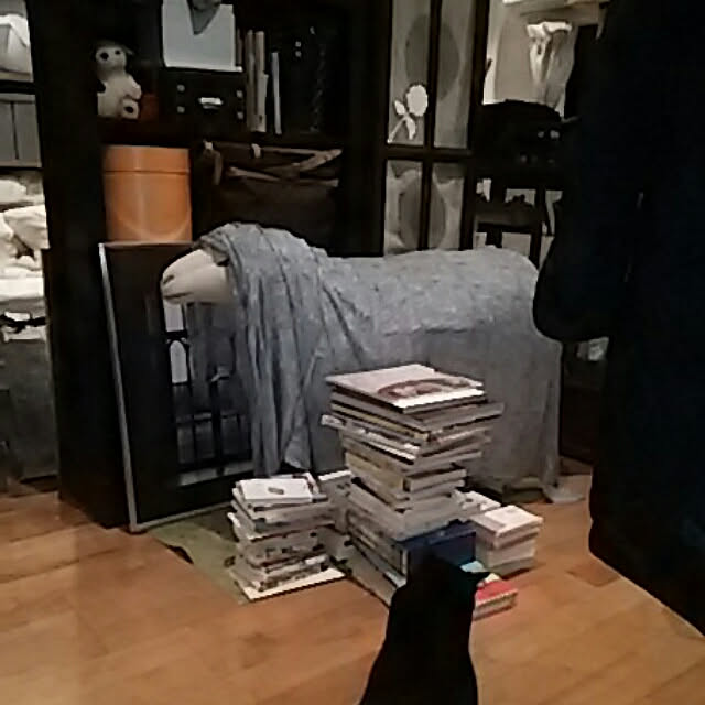 spinetailさんの実例写真