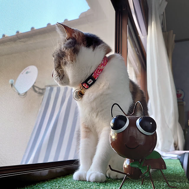 fukuさんの実例写真