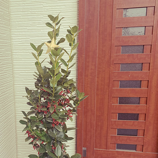 ナチュラル/カフェ風/観葉植物/玄関/入り口のインテリア実例 - 2020-12-13 11:40:51