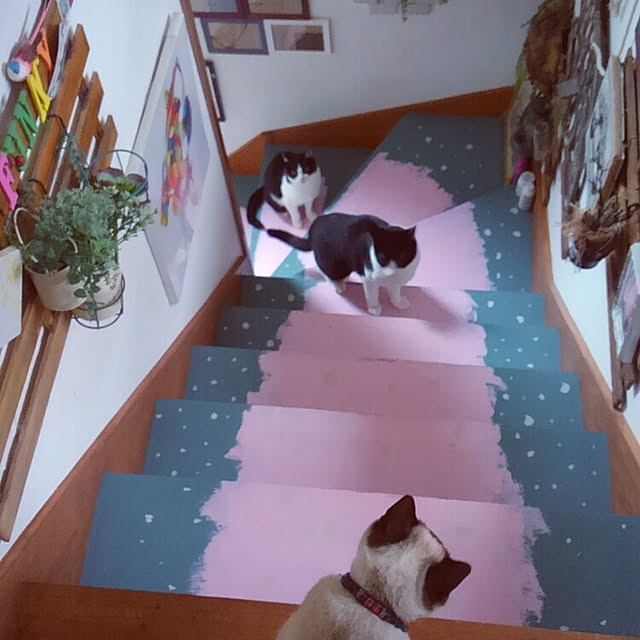 chako.さんの実例写真