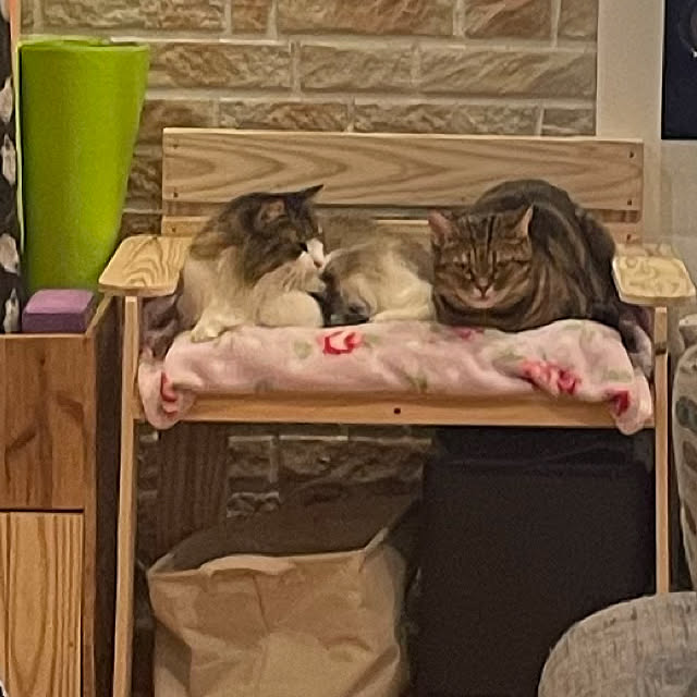 yさんの実例写真