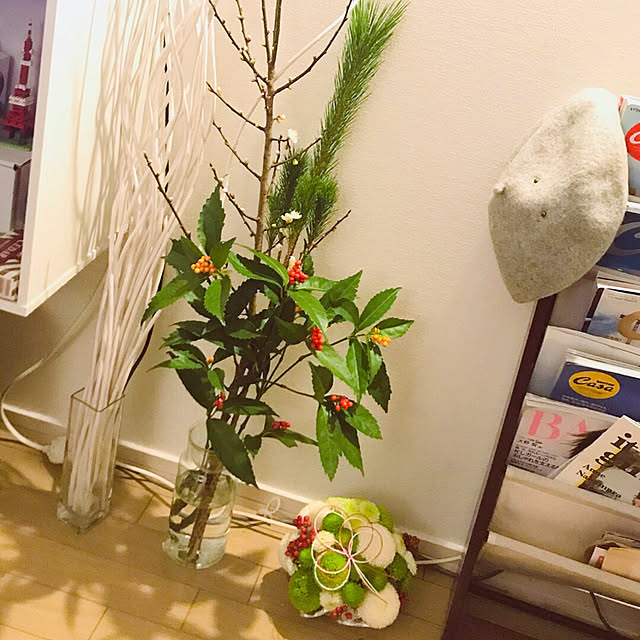 観葉植物/部屋全体のインテリア実例 - 2019-03-31 18:58:33
