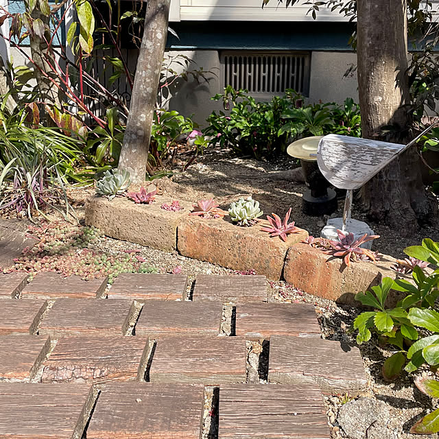 nobikoさんの部屋