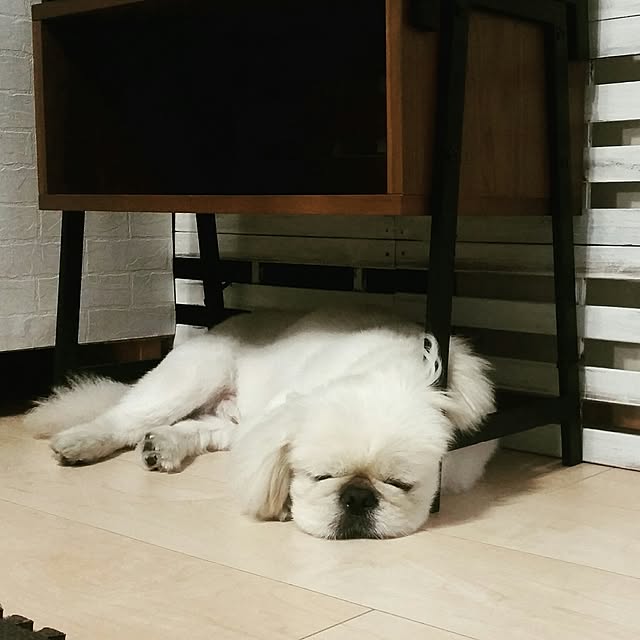 yukagomaさんの実例写真