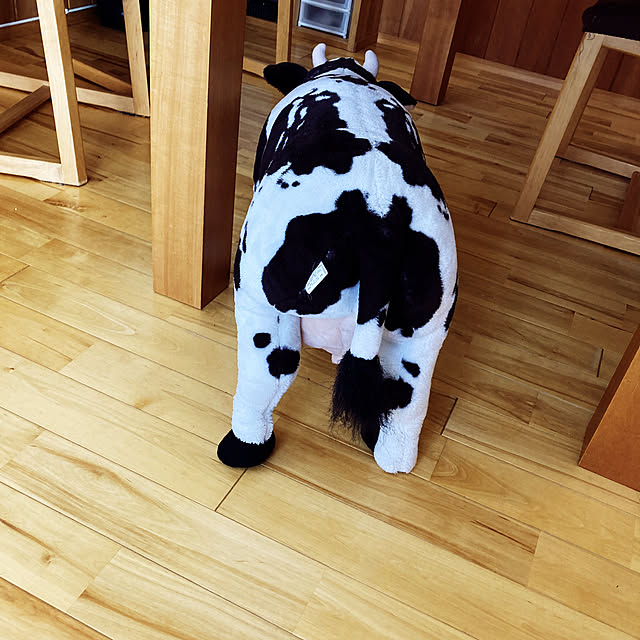 Rさんの実例写真