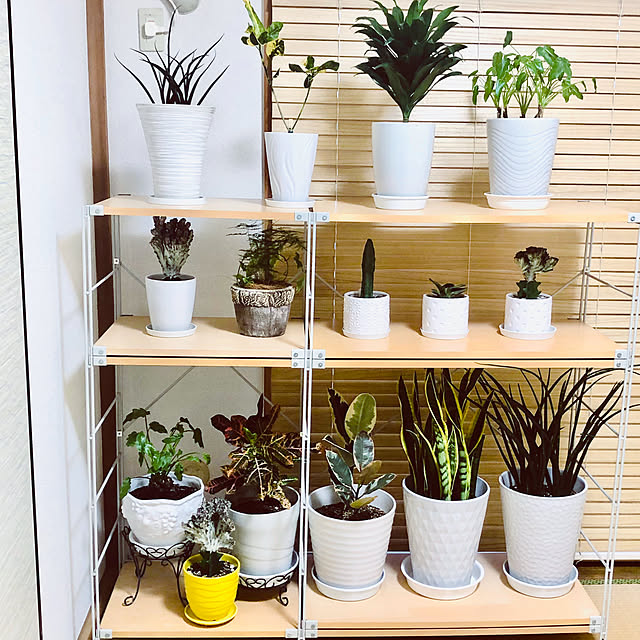 hanachanさんの部屋