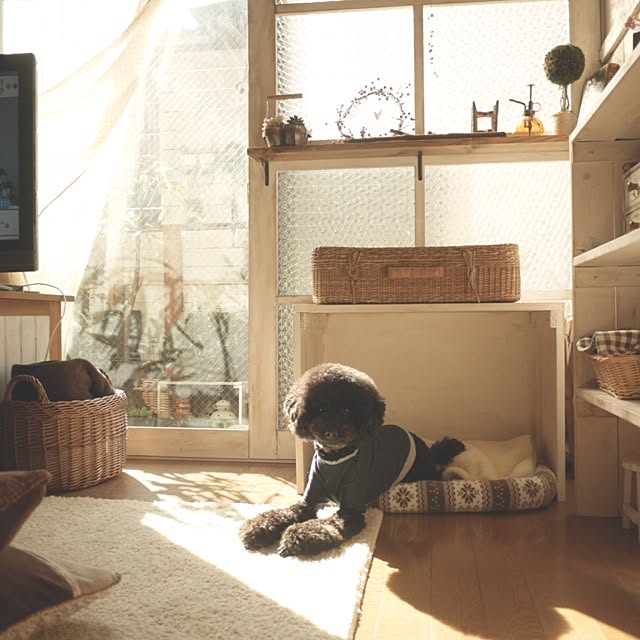 keitanさんの実例写真