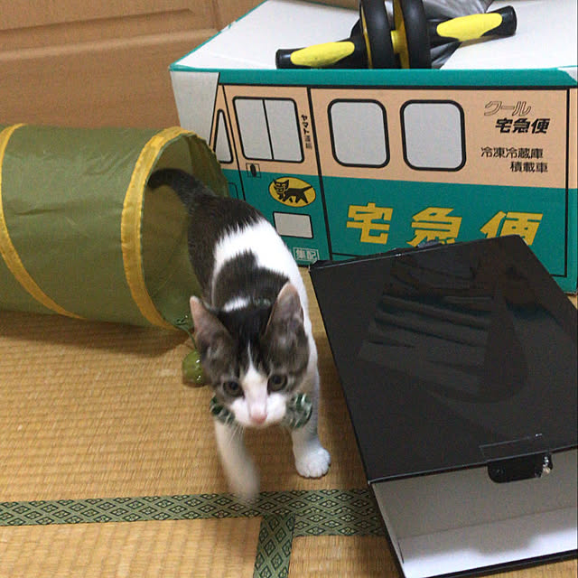 Akiさんの実例写真