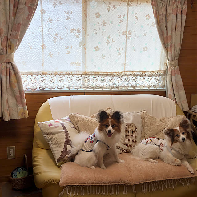 okachakoさんの実例写真