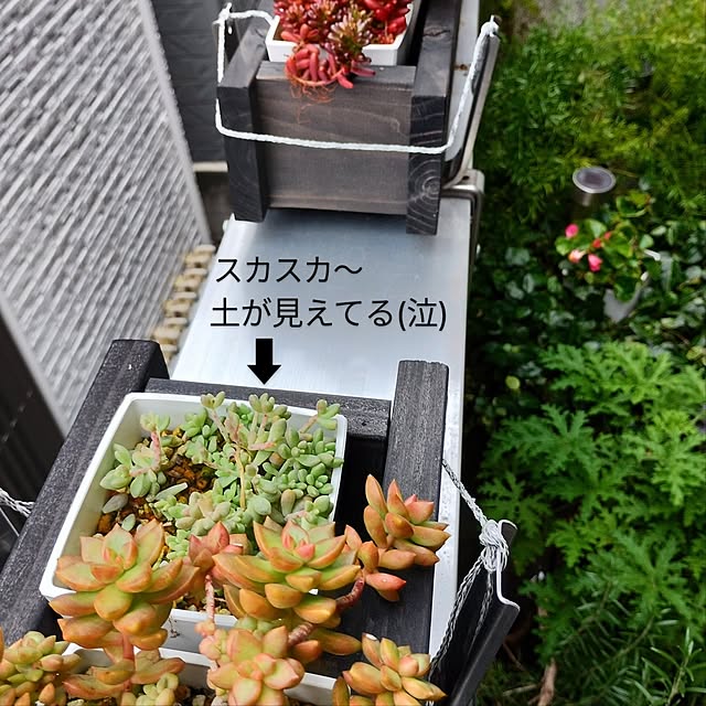 jinさんの部屋
