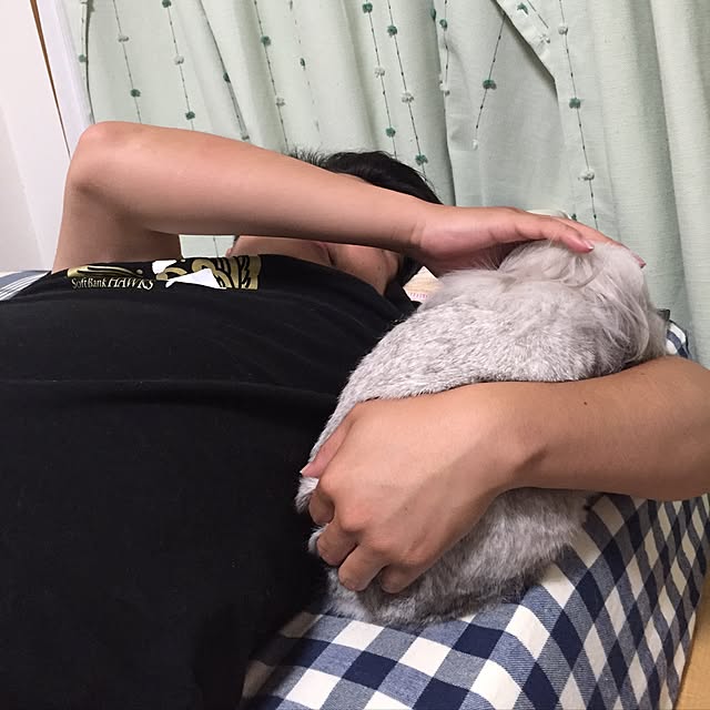 mokolionさんの実例写真