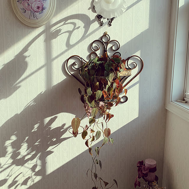 AYUKOさんの実例写真