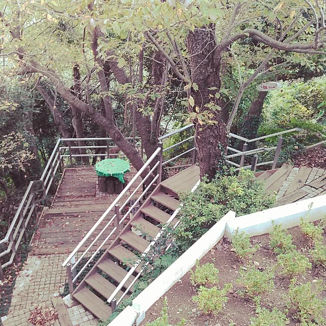 Fuuuさんの実例写真