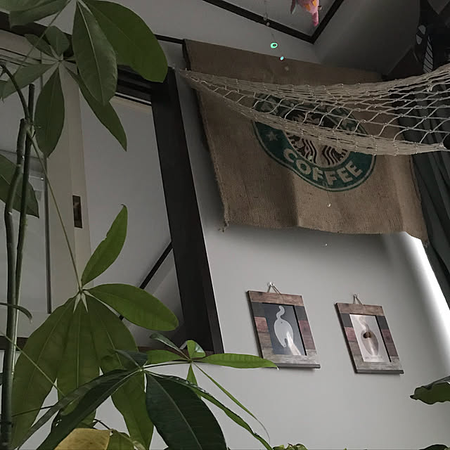 m.kantoh18_mikkoさんの実例写真