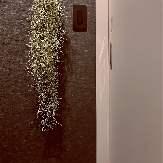 riakanaさんの実例写真
