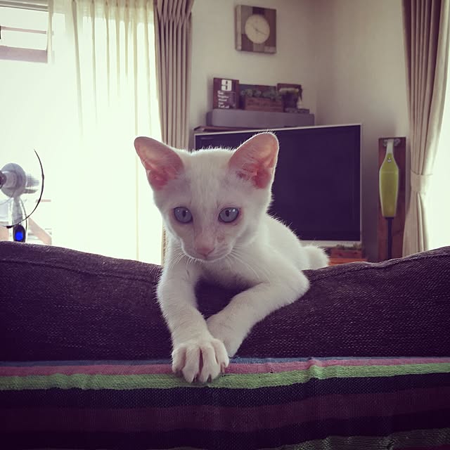 Rettiさんの実例写真