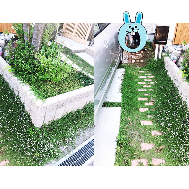 rizumu4649さんの実例写真