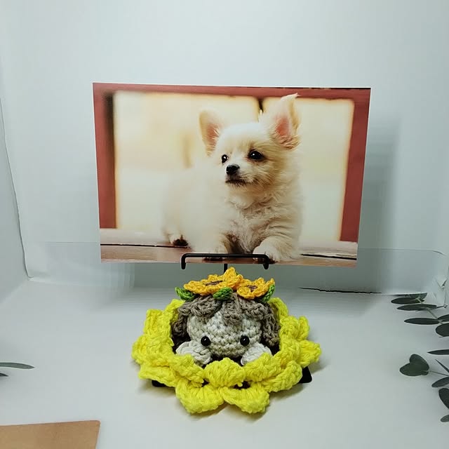 fujiyayuさんの実例写真