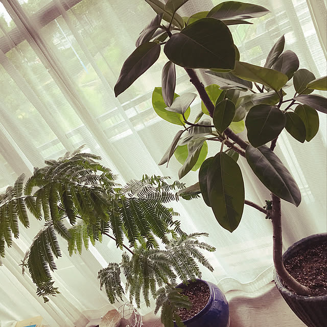 Ayaさんの実例写真