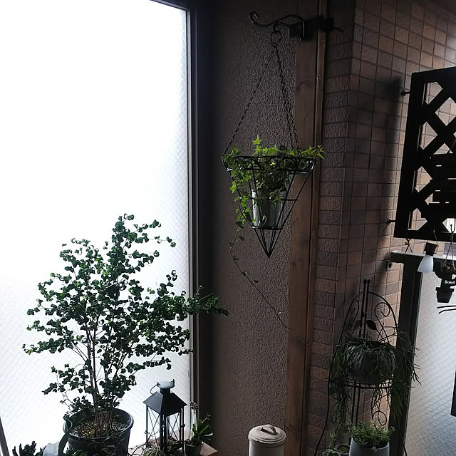 n0516さんの実例写真