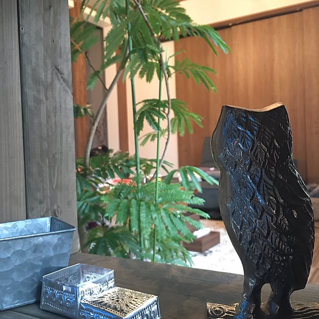 mitamaさんの実例写真