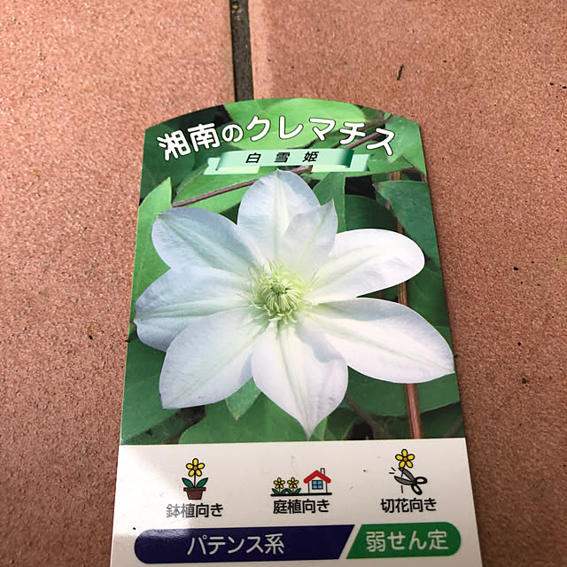 fumikoiさんの部屋