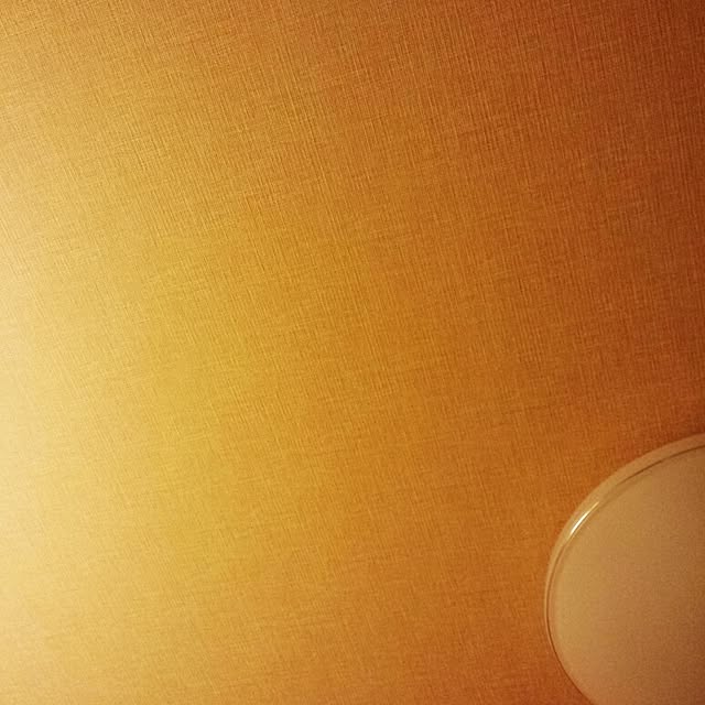manichanさんの実例写真