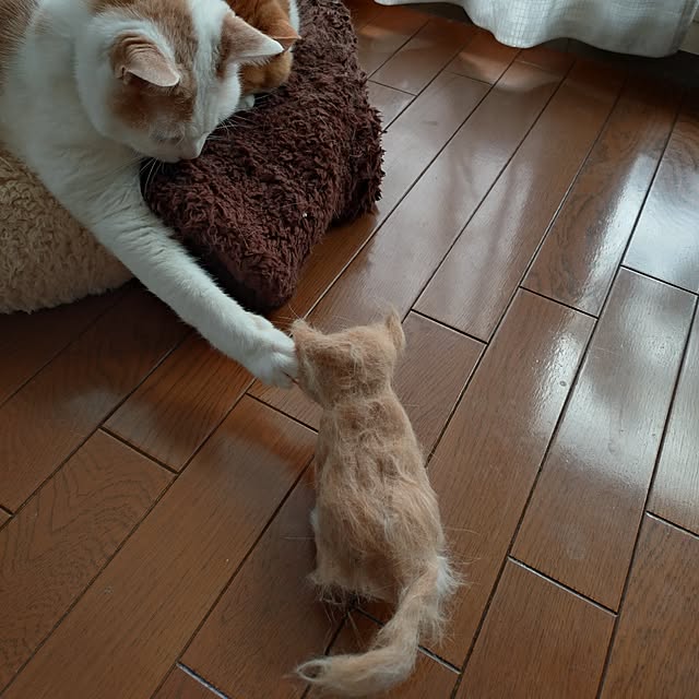 NOAHさんの部屋