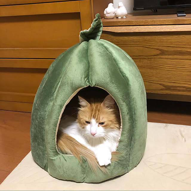 uchidaizuさんの実例写真