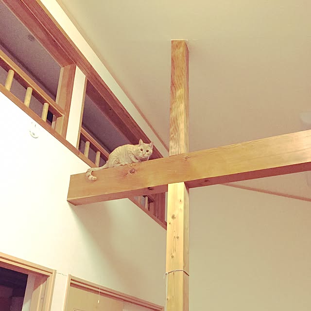 cocoamamaさんの実例写真