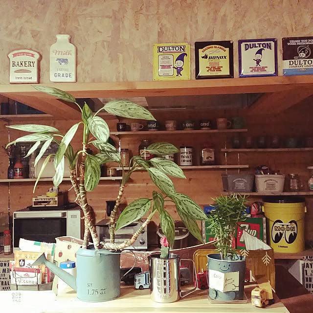 Riekoさんの実例写真