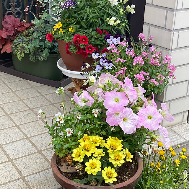 Smilkazuさんの実例写真