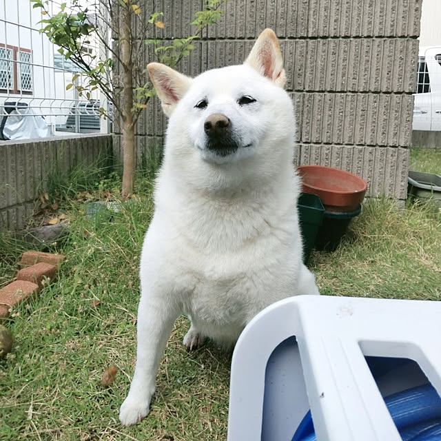 yukinkoさんの実例写真