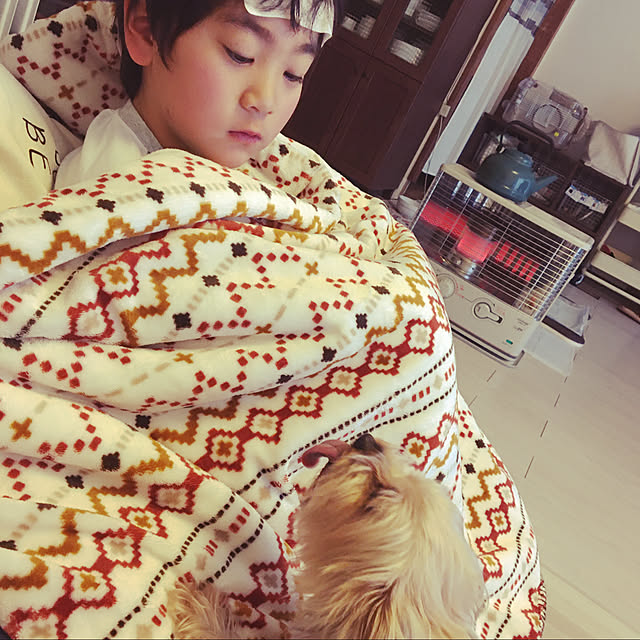 ohanaさんの実例写真