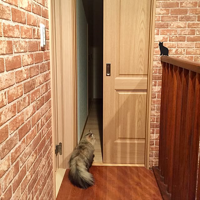 butachanさんの実例写真