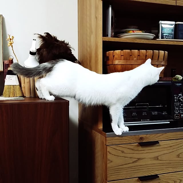 MIPORINNさんの部屋