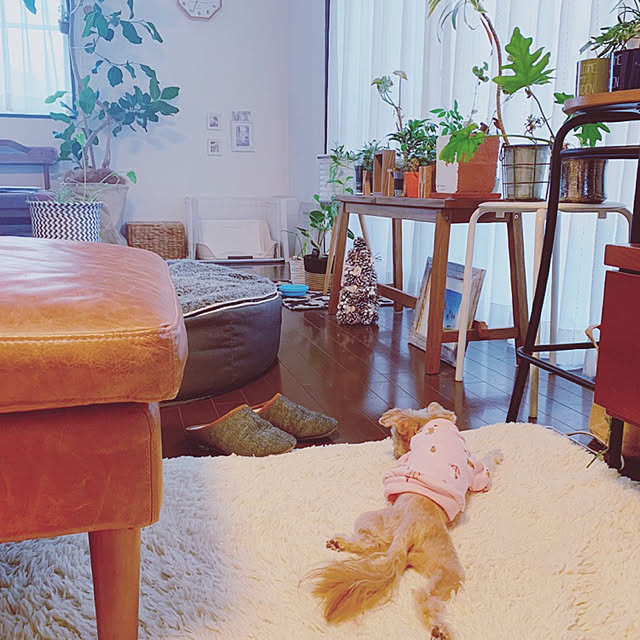 risaさんの実例写真