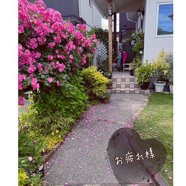 hinamamaさんの実例写真